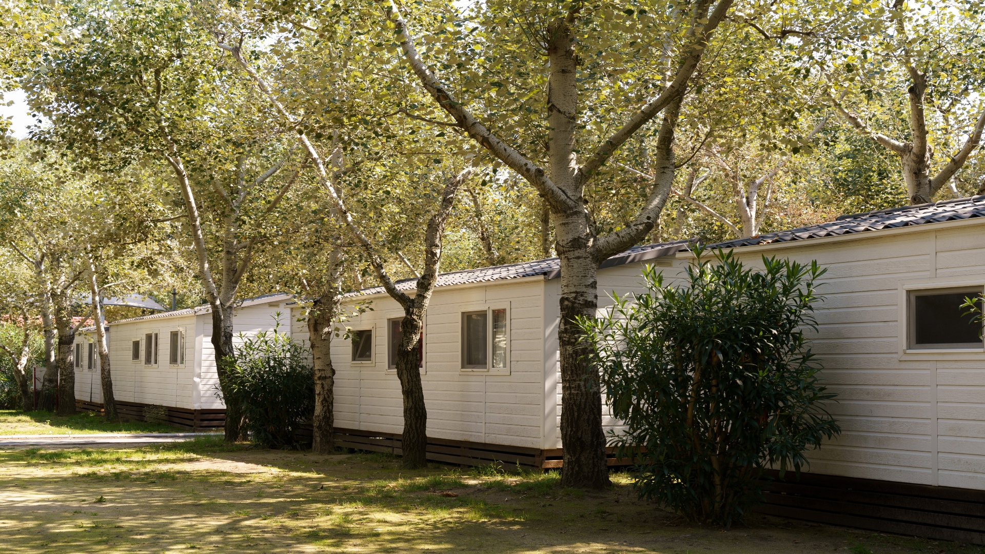 Who Handles Maintenance and Repairs for Your Static Caravan or Lodge?